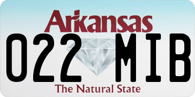 AR license plate 022MIB
