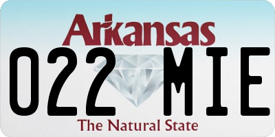 AR license plate 022MIE