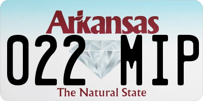 AR license plate 022MIP