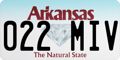 AR license plate 022MIV