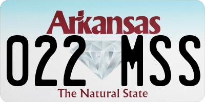 AR license plate 022MSS