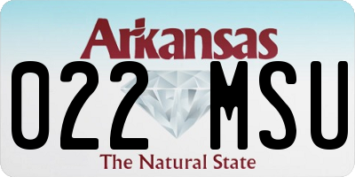 AR license plate 022MSU