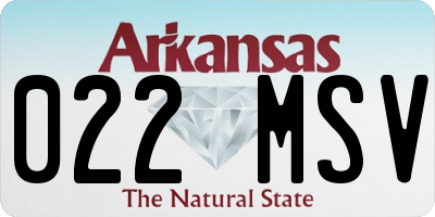 AR license plate 022MSV