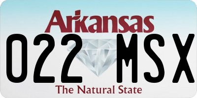 AR license plate 022MSX