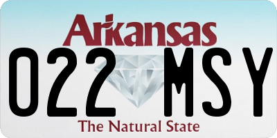 AR license plate 022MSY