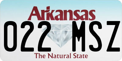 AR license plate 022MSZ
