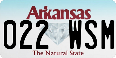 AR license plate 022WSM