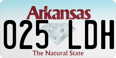 AR license plate 025LDH