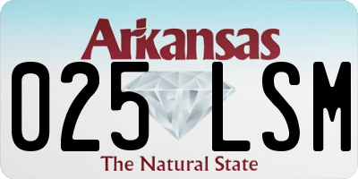 AR license plate 025LSM