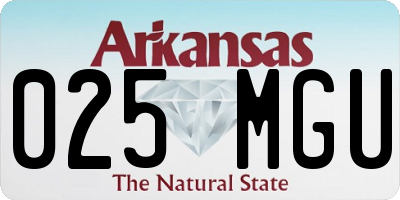 AR license plate 025MGU