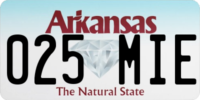AR license plate 025MIE