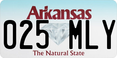 AR license plate 025MLY