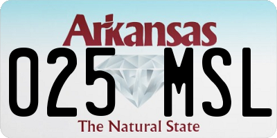 AR license plate 025MSL