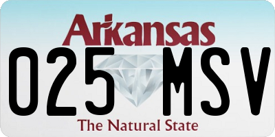 AR license plate 025MSV