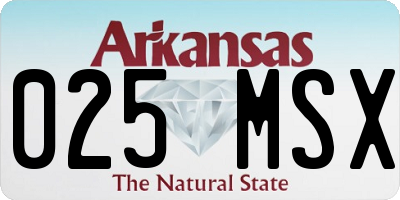 AR license plate 025MSX