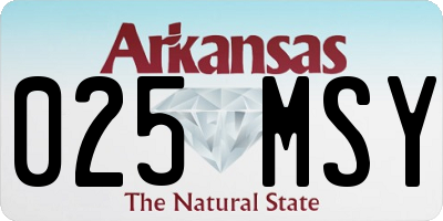 AR license plate 025MSY