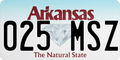 AR license plate 025MSZ