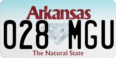 AR license plate 028MGU