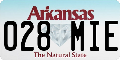 AR license plate 028MIE