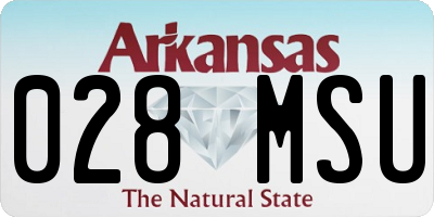 AR license plate 028MSU