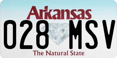 AR license plate 028MSV