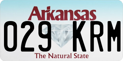 AR license plate 029KRM