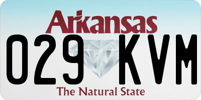AR license plate 029KVM