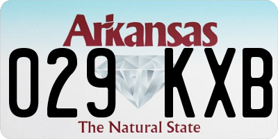AR license plate 029KXB