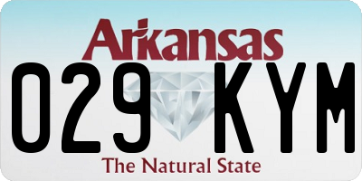 AR license plate 029KYM