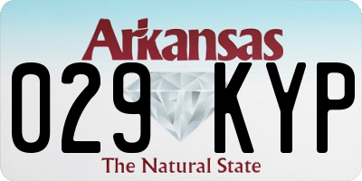 AR license plate 029KYP