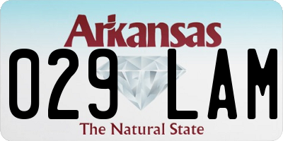 AR license plate 029LAM
