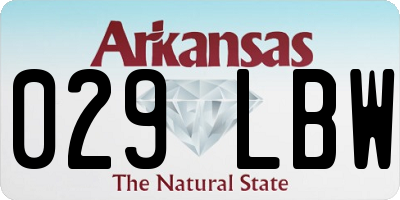 AR license plate 029LBW