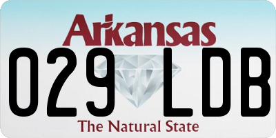 AR license plate 029LDB