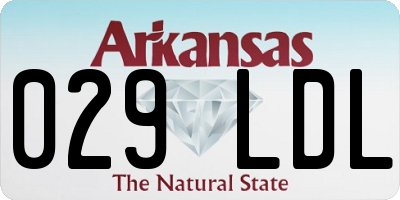 AR license plate 029LDL