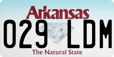 AR license plate 029LDM