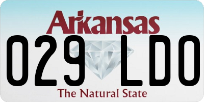 AR license plate 029LDO