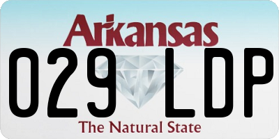 AR license plate 029LDP
