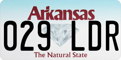 AR license plate 029LDR