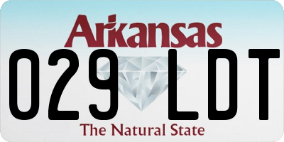 AR license plate 029LDT