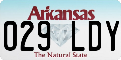 AR license plate 029LDY
