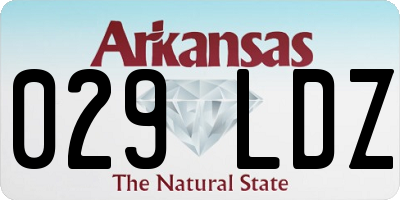 AR license plate 029LDZ
