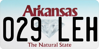 AR license plate 029LEH