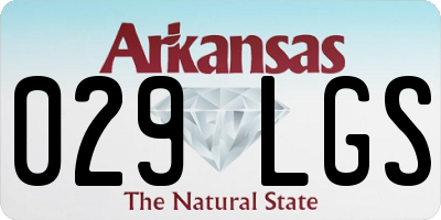 AR license plate 029LGS