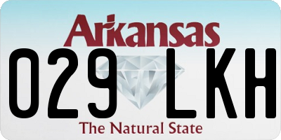AR license plate 029LKH