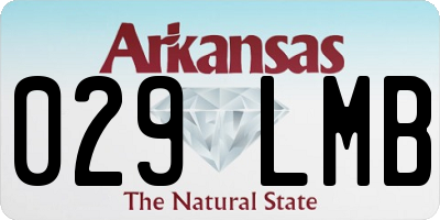AR license plate 029LMB