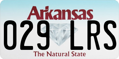AR license plate 029LRS