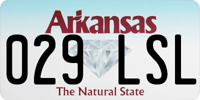 AR license plate 029LSL