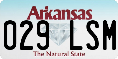 AR license plate 029LSM