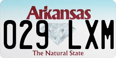 AR license plate 029LXM