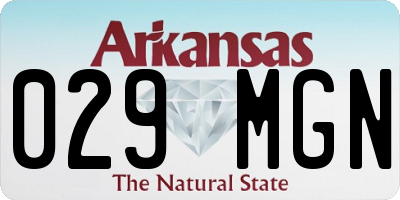 AR license plate 029MGN